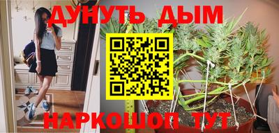сатива Краснодар