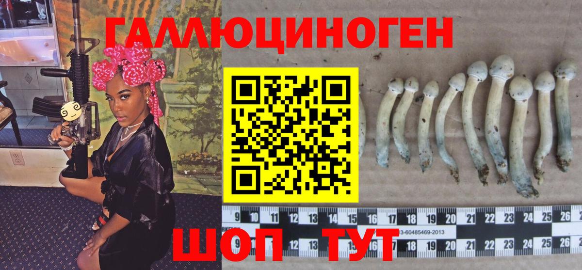Галлюциногенные грибы Psilocybine cubensis Котлас