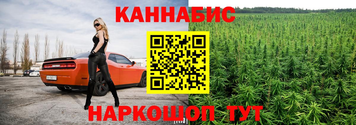 МЕФ Котлас